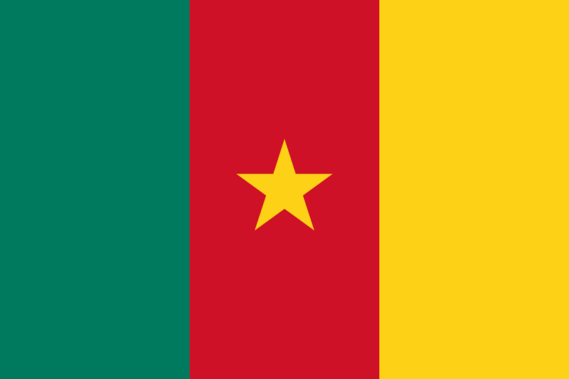 The Cameroonian legal system - le système juridique camerounais -  Sunulex Africa