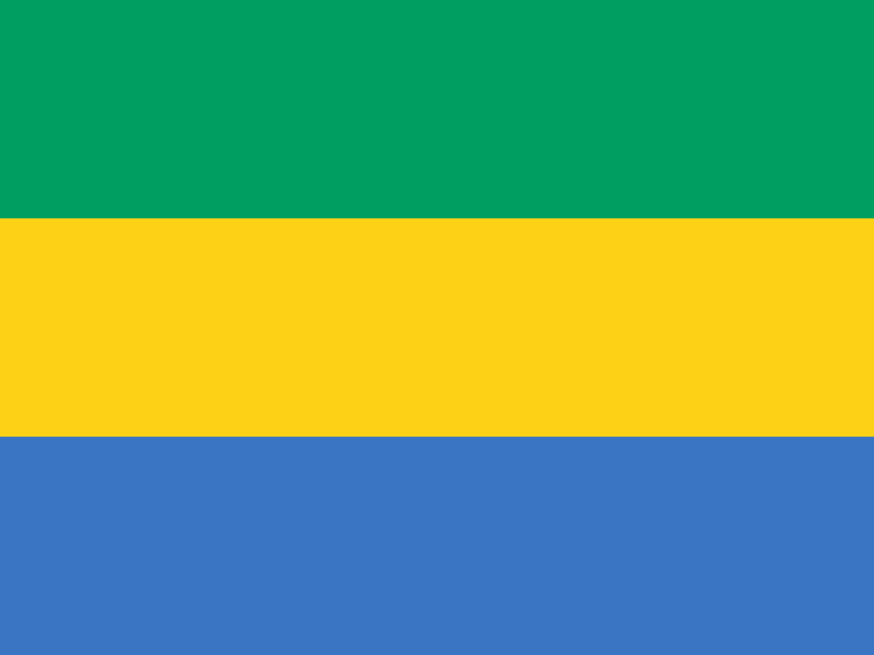 The gabonese legal system - Le système juridique gabonais -  Lois - Code du Gabon